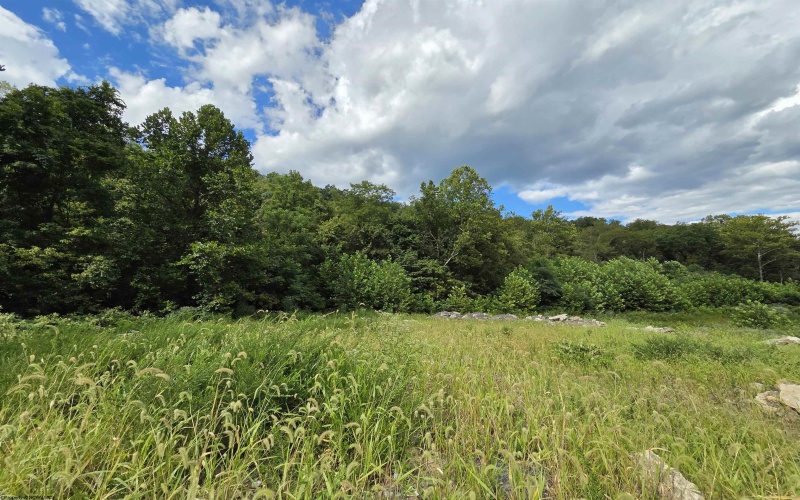 00 Scotts Run, Maidsville, West Virginia 26541, ,Lots/land,For Sale,Scotts,10161583