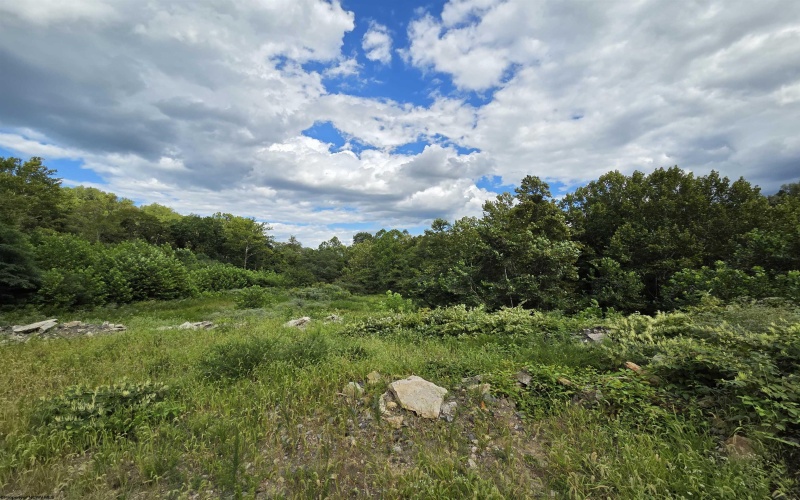 00 Scotts Run, Maidsville, West Virginia 26541, ,Lots/land,For Sale,Scotts,10161583