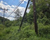 00 Scotts Run, Maidsville, West Virginia 26541, ,Lots/land,For Sale,Scotts,10161583