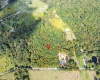 Lot 17 Spring Hill Lane, Albright, West Virginia 26519, ,Lots/land,For Sale,Spring Hill,10161585