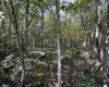Lot 17 Spring Hill Lane, Albright, West Virginia 26519, ,Lots/land,For Sale,Spring Hill,10161585
