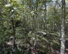 Lot 17 Spring Hill Lane, Albright, West Virginia 26519, ,Lots/land,For Sale,Spring Hill,10161585