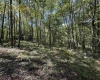 Lot 17 Spring Hill Lane, Albright, West Virginia 26519, ,Lots/land,For Sale,Spring Hill,10161585