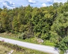Lot 17 Spring Hill Lane, Albright, West Virginia 26519, ,Lots/land,For Sale,Spring Hill,10161585