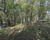 Lot 17 Spring Hill Lane, Albright, West Virginia 26519, ,Lots/land,For Sale,Spring Hill,10161585