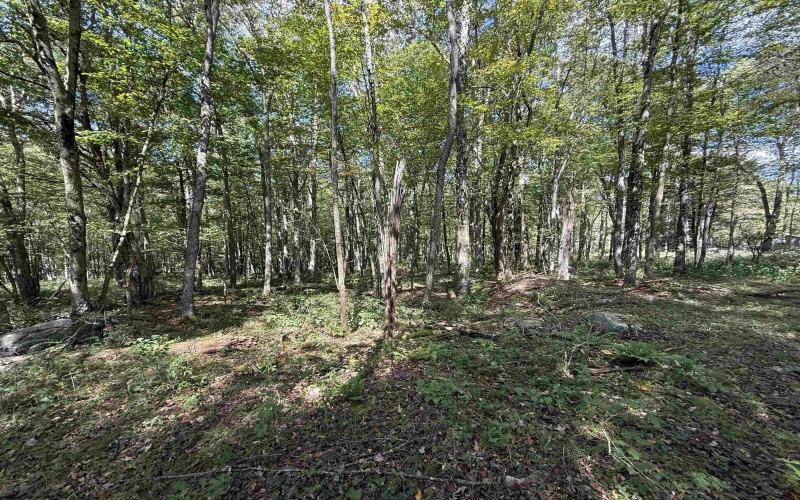 Lot 17 Spring Hill Lane, Albright, West Virginia 26519, ,Lots/land,For Sale,Spring Hill,10161585