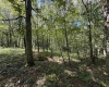 Lot 17 Spring Hill Lane, Albright, West Virginia 26519, ,Lots/land,For Sale,Spring Hill,10161585