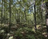 Lot 17 Spring Hill Lane, Albright, West Virginia 26519, ,Lots/land,For Sale,Spring Hill,10161585