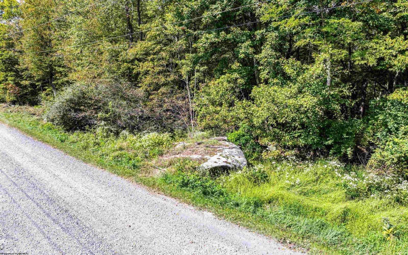 Lot 17 Spring Hill Lane, Albright, West Virginia 26519, ,Lots/land,For Sale,Spring Hill,10161585