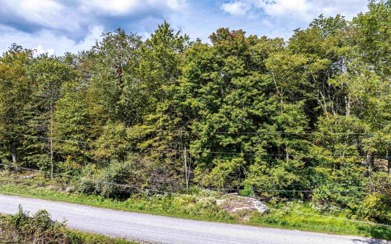 Lot 17 Spring Hill Lane, Albright, West Virginia 26519, ,Lots/land,For Sale,Spring Hill,10161585