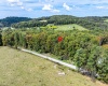 Lot 17 Spring Hill Lane, Albright, West Virginia 26519, ,Lots/land,For Sale,Spring Hill,10161585