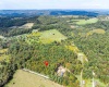 Lot 17 Spring Hill Lane, Albright, West Virginia 26519, ,Lots/land,For Sale,Spring Hill,10161585