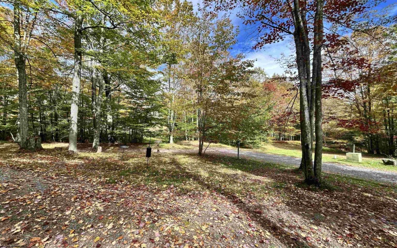 117 Hibernation Way, Davis, West Virginia 26260, 2 Bedrooms Bedrooms, 5 Rooms Rooms,1 BathroomBathrooms,Single Family Detached,For Sale,Hibernation,10161593