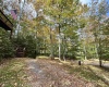 117 Hibernation Way, Davis, West Virginia 26260, 2 Bedrooms Bedrooms, 5 Rooms Rooms,1 BathroomBathrooms,Single Family Detached,For Sale,Hibernation,10161593