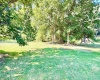514 PIEDMONT Avenue, Grafton, West Virginia 26354, 1 Bedroom Bedrooms, 5 Rooms Rooms,1 BathroomBathrooms,Single Family Detached,For Sale,PIEDMONT,10161601 514 PIEDMONT Avenue, Grafton, West Virginia 26354, 1 Bedroom Bedrooms, 5 Rooms Rooms,1 BathroomBathrooms,Single Family Detached,For Sale,PIEDMONT,10161601