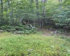 373 Mountainside Road, Davis, West Virginia 26260, 4 Bedrooms Bedrooms, 7 Rooms Rooms,2 BathroomsBathrooms,Single Family Detached,For Sale,Mountainside,10161634