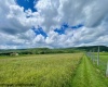 Tract II Mallow Lake Drive, Davis, West Virginia 26260, ,Lots/land,For Sale,Mallow Lake,10161641