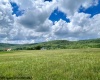Tract II Mallow Lake Drive, Davis, West Virginia 26260, ,Lots/land,For Sale,Mallow Lake,10161641