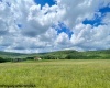 Tract II Mallow Lake Drive, Davis, West Virginia 26260, ,Lots/land,For Sale,Mallow Lake,10161641