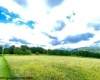 Tract II Mallow Lake Drive, Davis, West Virginia 26260, ,Lots/land,For Sale,Mallow Lake,10161641