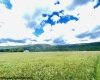 Tract II Mallow Lake Drive, Davis, West Virginia 26260, ,Lots/land,For Sale,Mallow Lake,10161641