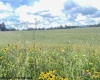 Tract II Mallow Lake Drive, Davis, West Virginia 26260, ,Lots/land,For Sale,Mallow Lake,10161641