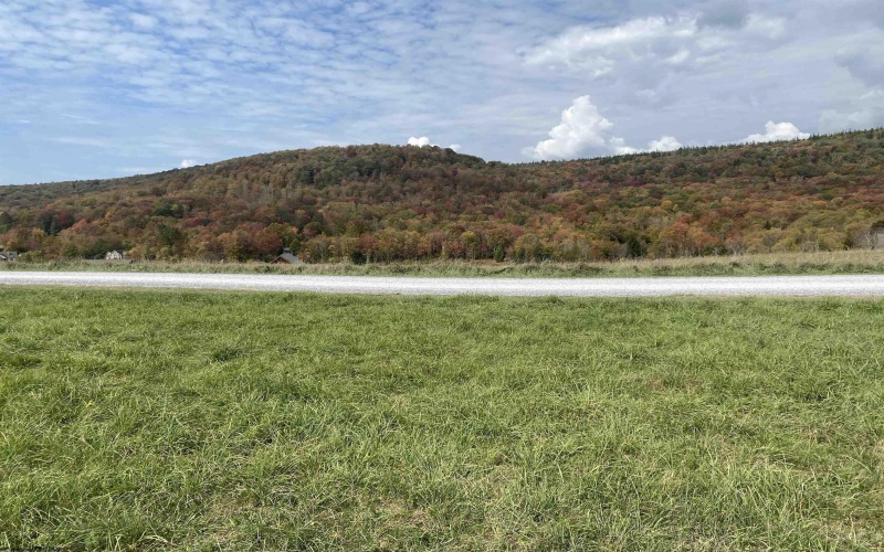 Tract II Mallow Lake Drive, Davis, West Virginia 26260, ,Lots/land,For Sale,Mallow Lake,10161641