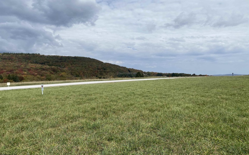 Tract II Mallow Lake Drive, Davis, West Virginia 26260, ,Lots/land,For Sale,Mallow Lake,10161641