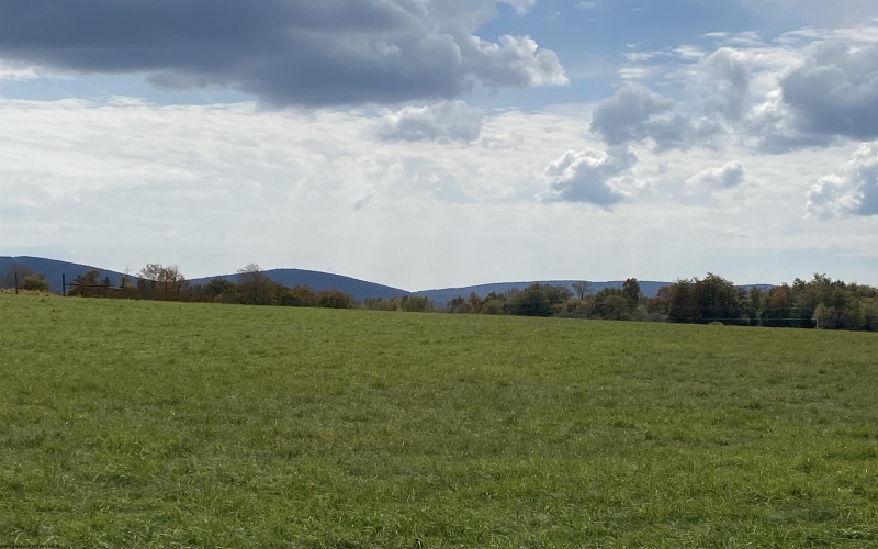 Tract II Mallow Lake Drive, Davis, West Virginia 26260, ,Lots/land,For Sale,Mallow Lake,10161641