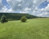 Tract II Mallow Lake Drive, Davis, West Virginia 26260, ,Lots/land,For Sale,Mallow Lake,10161641