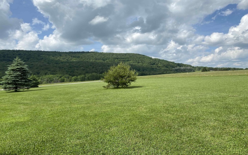 Tract II Mallow Lake Drive, Davis, West Virginia 26260, ,Lots/land,For Sale,Mallow Lake,10161641