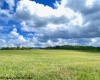 Tract II Mallow Lake Drive, Davis, West Virginia 26260, ,Lots/land,For Sale,Mallow Lake,10161641