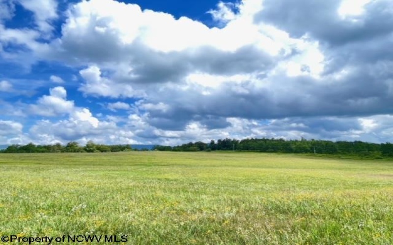 Tract II Mallow Lake Drive, Davis, West Virginia 26260, ,Lots/land,For Sale,Mallow Lake,10161641