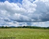 Tract II Mallow Lake Drive, Davis, West Virginia 26260, ,Lots/land,For Sale,Mallow Lake,10161641