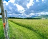 Tract II Mallow Lake Drive, Davis, West Virginia 26260, ,Lots/land,For Sale,Mallow Lake,10161641
