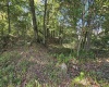 TBD 3RD Street, Bretz, West Virginia 26524, ,Lots/land,For Sale,3RD,10161643