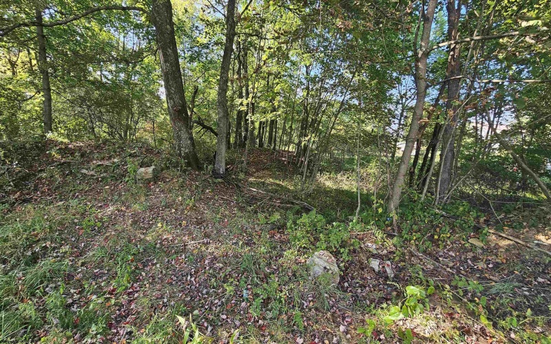 TBD 3RD Street, Bretz, West Virginia 26524, ,Lots/land,For Sale,3RD,10161643