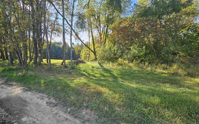 TBD 3RD Street, Bretz, West Virginia 26524, ,Lots/land,For Sale,3RD,10161643