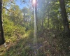 TBD 3RD Street, Bretz, West Virginia 26524, ,Lots/land,For Sale,3RD,10161643