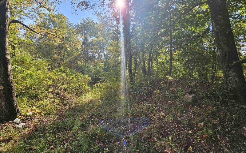 TBD 3RD Street, Bretz, West Virginia 26524, ,Lots/land,For Sale,3RD,10161643