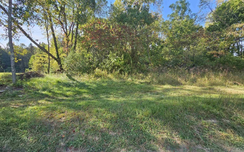 TBD 3RD Street, Bretz, West Virginia 26524, ,Lots/land,For Sale,3RD,10161643