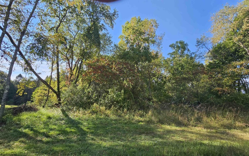 TBD 3RD Street, Bretz, West Virginia 26524, ,Lots/land,For Sale,3RD,10161643
