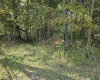 TBD 3RD Street, Bretz, West Virginia 26524, ,Lots/land,For Sale,3RD,10161643