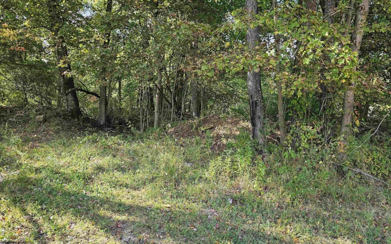 TBD 3RD Street, Bretz, West Virginia 26524, ,Lots/land,For Sale,3RD,10161643