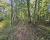 TBD 3RD Street, Bretz, West Virginia 26524, ,Lots/land,For Sale,3RD,10161643