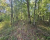 TBD 3RD Street, Bretz, West Virginia 26524, ,Lots/land,For Sale,3RD,10161643
