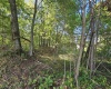 TBD 3RD Street, Bretz, West Virginia 26524, ,Lots/land,For Sale,3RD,10161643