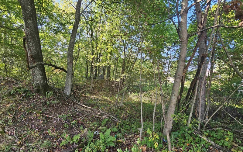 TBD 3RD Street, Bretz, West Virginia 26524, ,Lots/land,For Sale,3RD,10161643