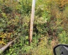 37 Rocky Road, Harman, West Virginia 26270, ,Lots/land,For Sale,Rocky,10161646
