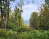 37 Rocky Road, Harman, West Virginia 26270, ,Lots/land,For Sale,Rocky,10161646